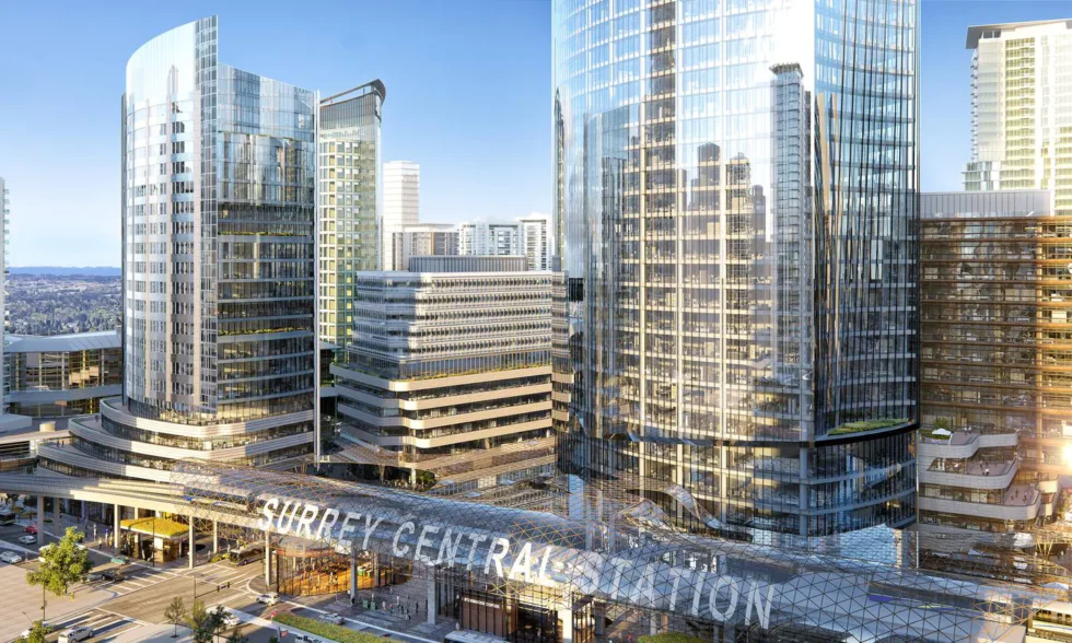 SEO for Surrey Business owners